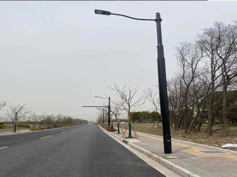 南宫市上海综合杆 太阳能路灯工程